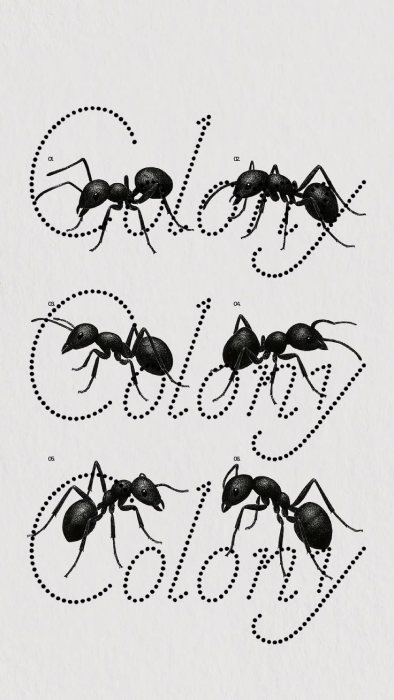 Ant-traced script lettering