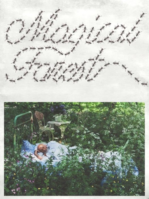 Dotted script over photography.